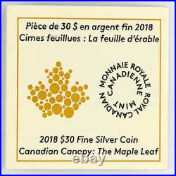 2018 Canada $30 Silver Maple Leaf 2oz Ag PP Fine Silver Proof