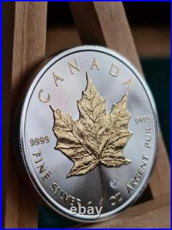 2019 1oz Canadian Maple Leaf Gilded Silver Bullion Coin UNCIRCULATED GENUINE