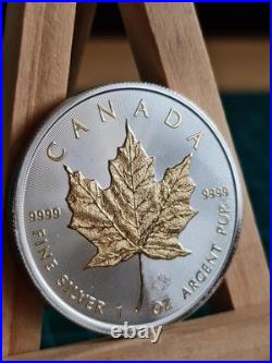 2019 1oz Canadian Maple Leaf Gilded Silver Bullion Coin UNCIRCULATED GENUINE