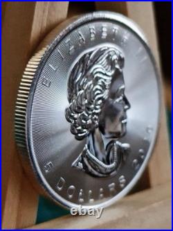 2019 1oz Canadian Maple Leaf Gilded Silver Bullion Coin UNCIRCULATED GENUINE