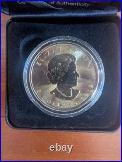 2019 $5 1oz SILVER CANADIAN MAPLE LEAF HALLOWEEN 24kt GOLD GILDED COLOURED COIN 2019 $5 1oz SILVER CANADIAN MAPLE LEAF HALLOWEEN 24kt GOLD GILDED COLOURED COIN