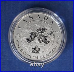 2019 Canada Silver Proof Maple Leaf 5 coin Set in Case with COA