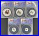 2020 Canada Pure Silver 5-Coin Maple Leaf Fractional Set RP70 First Release