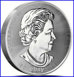 2021 10 Oz Silver Canadian MAGNIFICENT MAPLE LEAF BU Coin
