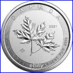 2021 10 oz Canadian Silver MAGNIFICENT MAPLE LEAF ships in mint capsule