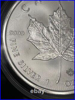 2021 (New) Canada Maple Leaf Commemorative sterling silver 1 oz silver coins 2