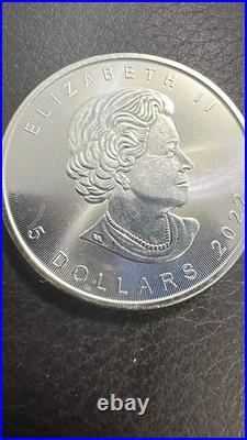 2022 1 oz silver coloured maple leaf elephant sunrise (rare)