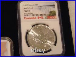 2022 American Silver Eagle, Panda, Maple Leaf, Wedge Tailed Eagle, Kruggerand MS70