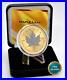 2023 1OZ Silver Silver Maple Leaf 24kt Space Gold Canada Canada NEW ONLY 500 BU