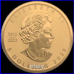2023 $5 The Anchor 1oz Silver Maple Leaf Gilded Coin 2023 $5 The Anchor 1oz Silver Maple Leaf Gilded Coin
