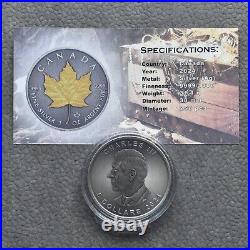 2024 1 oz Silver Silver Maple Leaf 24kt Gold Treasure Canada Canada NEW ONLY 250