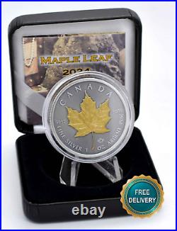 2024 1oz Silver Silver Maple Leaf 24kt Gold Treasure Canada Canada NEW ONLY 250