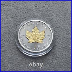 2024 1oz Silver Silver Maple Leaf 24kt Gold Treasure Canada Canada NEW ONLY 250