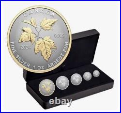 2024 Canada Autumn Beauty Silver Maple Leaf 1.9 oz SML Fractional 5-Coin Set New