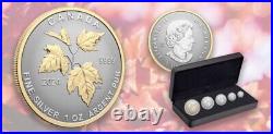 2024 Canada Autumn Beauty Silver Maple Leaf 1.9 oz SML Fractional 5-Coin Set New