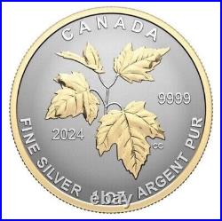 2024 Canada Autumn Beauty Silver Maple Leaf 1.9 oz SML Fractional 5-Coin Set New