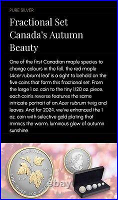 2024 Canada Autumn Beauty Silver Maple Leaf 1.9 oz SML Fractional 5-Coin Set New