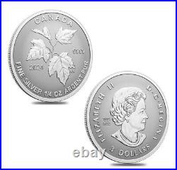 2024 Canada Autumn Beauty Silver Maple Leaf 1.9 oz SML Fractional 5-Coin Set New