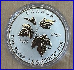 2024 Canada Autumn Beauty Silver Maple Leaf 1.9 oz SML Fractional 5-Coin Set New