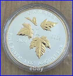 2024 Canada Autumn Beauty Silver Maple Leaf 1.9 oz SML Fractional 5-Coin Set New