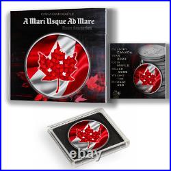 2024 Canada Maple. 9999 Argent Pur Colorized Coin with Flag Colors Coin 2024 Canada Maple. 9999 Argent Pur Colorized Coin with Flag Colors Coin