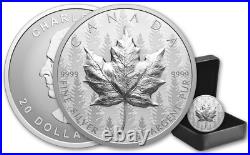 2024 Canada Pulsating Forest Maple Leaf 1 Oz Silver Ultra High Relief Coin JP724