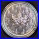 2024 Canadian Silver Maple Leaf Ultra High Relief, Pulsating Forest Coin