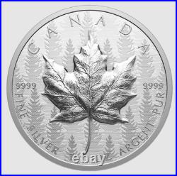 2024 Canadian Silver Maple Leaf Ultra High Relief, Pulsating Forest Coin