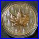 2025 1 Oz. 9999 Silver Rose Gold Gilt Maple Leaf Ultra-High Relief Beautiful