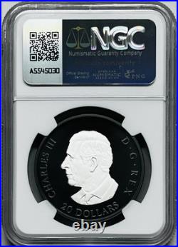2025 $20 Canada Rhodium Silver Proof Ngc Pf70 Elegant Maple Leaf First Releases