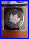 2025 $5 1oz SILVER CANADIAN MAPLE LEAF DIAMOND DUST AND HALO SERIES COIN
