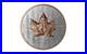 2025 Canada $50 5 Oz Silver Maple Leaf Ultra High Relief RP Rose Gold -Intl Cust