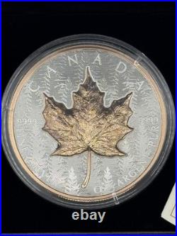 2025 Canada $50 5 Oz Silver Maple Leaf Ultra High Relief RP Rose Gold -Intl Cust