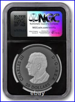 2025 Canada Elegant Maple Leaf Black Rhodium 1 Oz Silver NGC PF70 Coin JR083