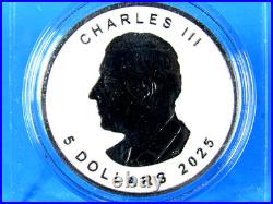 2025 Canada, Maple Leaf, Diamond Dust & Black Platinum in OGP with COA
