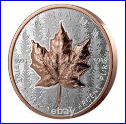 2025 Canada Silver Maple Leaf Ultra High Relief UHR 1 oz Silver Proof SHIP NOW