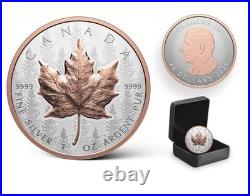 2025 Canada Silver Maple Leaf Ultra High Relief UHR 1 oz Silver Proof SHIP NOW