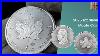 2025 Silver Maple Leaf Coin Everything You Should Know