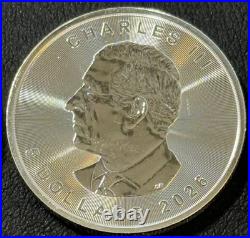 2026 1 Oz. 9999 Fine Silver Canadian Maple Leaf Brilliant Uncirculated Coin