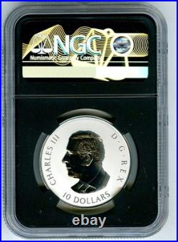 2026 $10 Canada. 9999 Silver Ngc Rev Proof Pf70 Gleaming Maple Leaf Leaves Fr