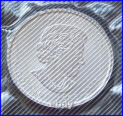 25x 1oz ST SG Silver Coin 999.9 AG Maple Leaf 2019 Tube
