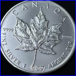 25x2022 Silver Maple Leaf Coins 1 oz. 9999 Pure BU-LOT Z 10 25x2022 Silver Maple Leaf Coins 1 oz. 9999 Pure BU-LOT Z 10