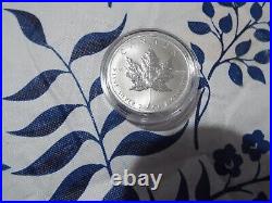 3- 2012 Canadian Maple Leaf 1 oz. 9999 Fine Silver 5 Dollar Coin IN CAPSULE