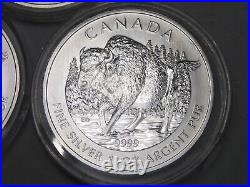 3 Silver $5 Wood Bison 2013 Canadian Maple Leafs 1oz. 9999 Fine each CANADA. #49