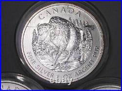 3 Silver $5 Wood Bison 2013 Canadian Maple Leafs 1oz. 9999 Fine each CANADA. #50