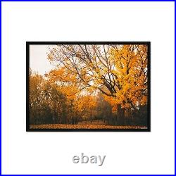 3D Maple Leaf 67 Framed Poster Home Decor Print Painting Art AJ WALLPAPER