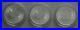 3x 2021 Silver Maple Leaf 1oz Canadian Silver Bullion Coins U/circulated/Capsule