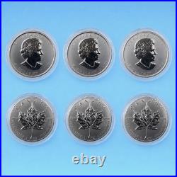3x Canada Silver Maple Leaf 2013 1 oz 9999 Silver Capsules RCM