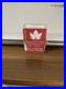 48 x 1g silver Wessex Mint Maple Leaf Silver Bars Set in Case Total 48g