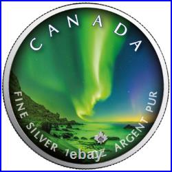5 $ Dollar Maple Leaf Polar Lights Whitehorse Town Park 1 Oz Silver 2020